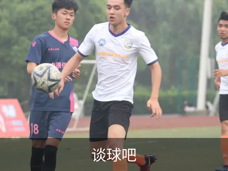 谈球吧概况